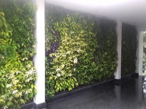 Tips Dekorasi Dinding dengan Vertical Garden