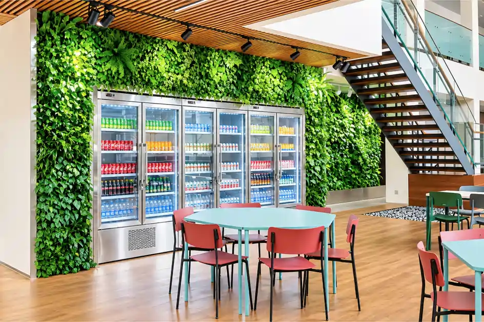 Indoor Greenwall